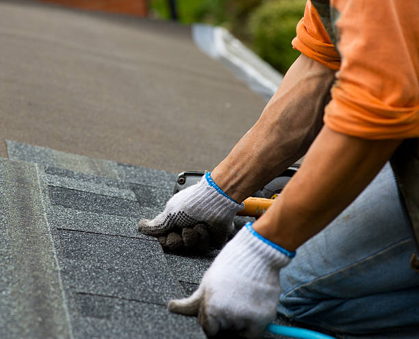 Best Roof Gutter Cleaning  in Helena, AL